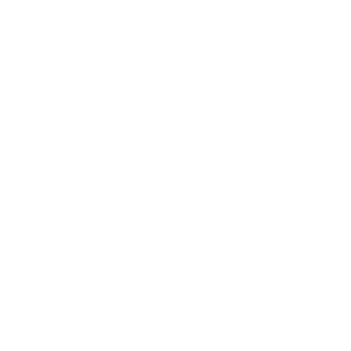 expert team