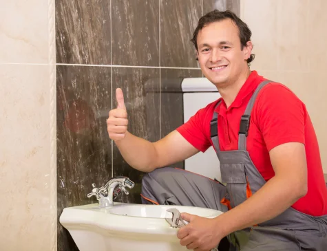Same-day plumbing Lilyfield